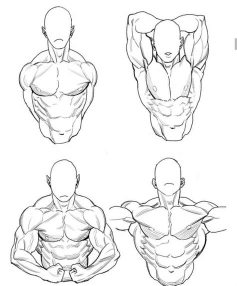 How to Draw a Buff Guy in 2023: Step by Step Guide for。